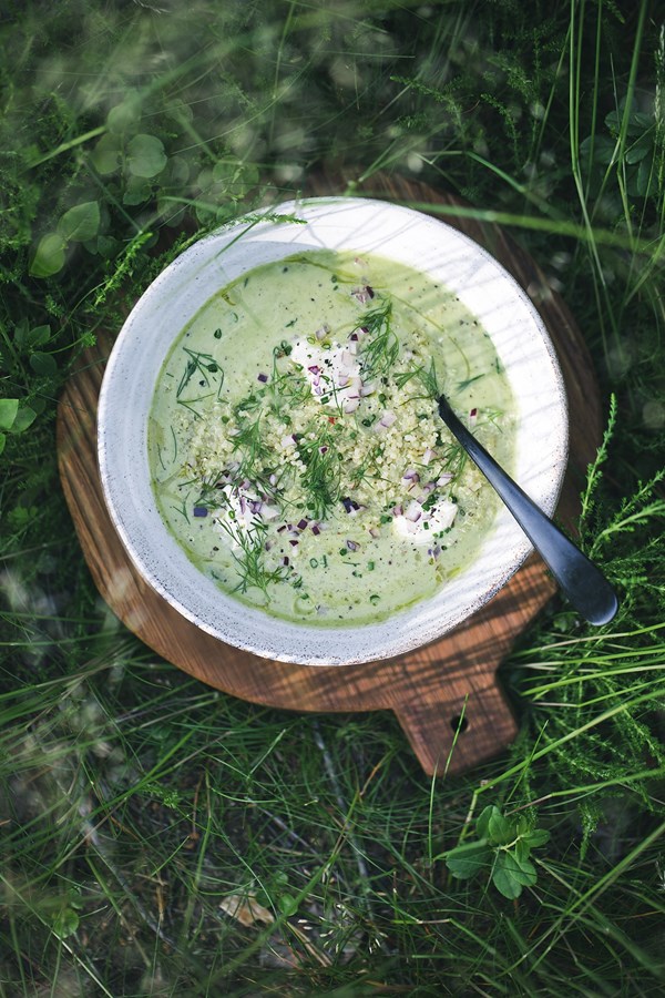 Zucchini soup