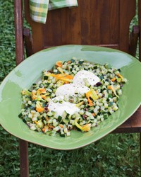 Zucchini with Niçoise olives and burrata
